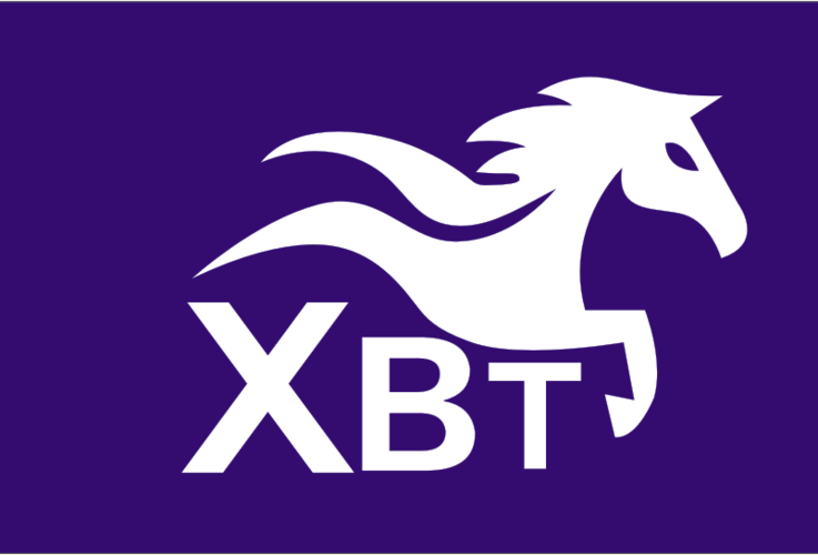 福建新奔騰商務(wù)咨詢(xún)有限公司重慶分公司