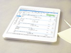 正規代辦執照公司 歡迎來電 新疆同城定制商務咨詢供應